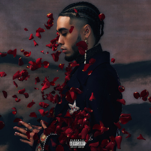 bluedgv制片厂官网最新版
